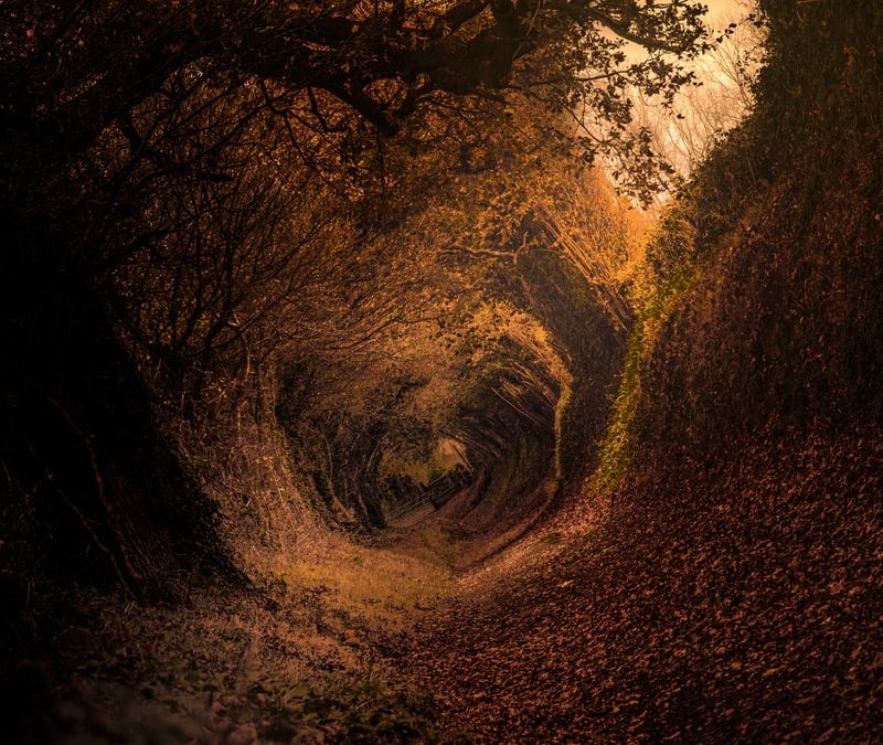 Mots et merveilles : contes d’automne
