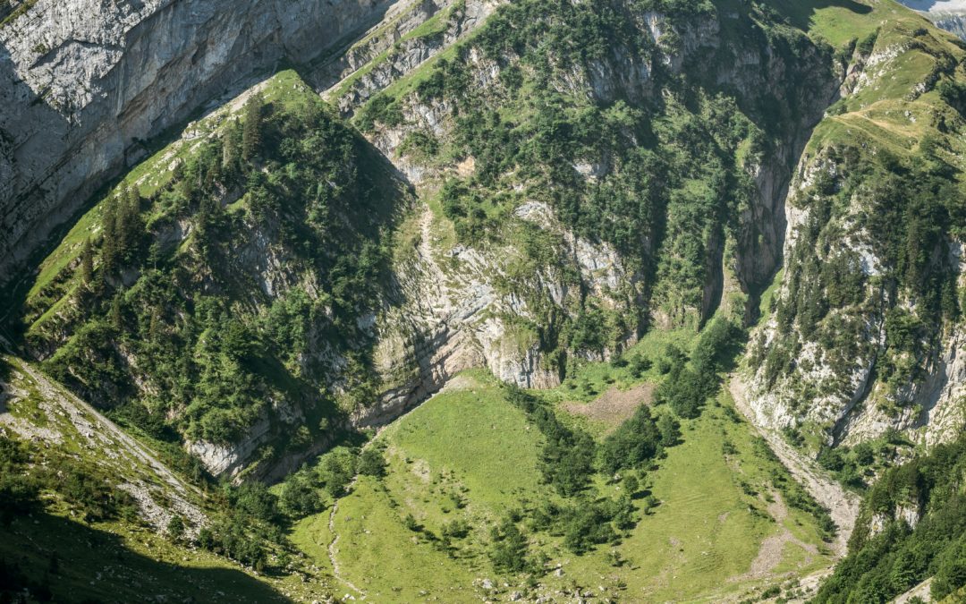 Mots et merveilles : contes vaudois